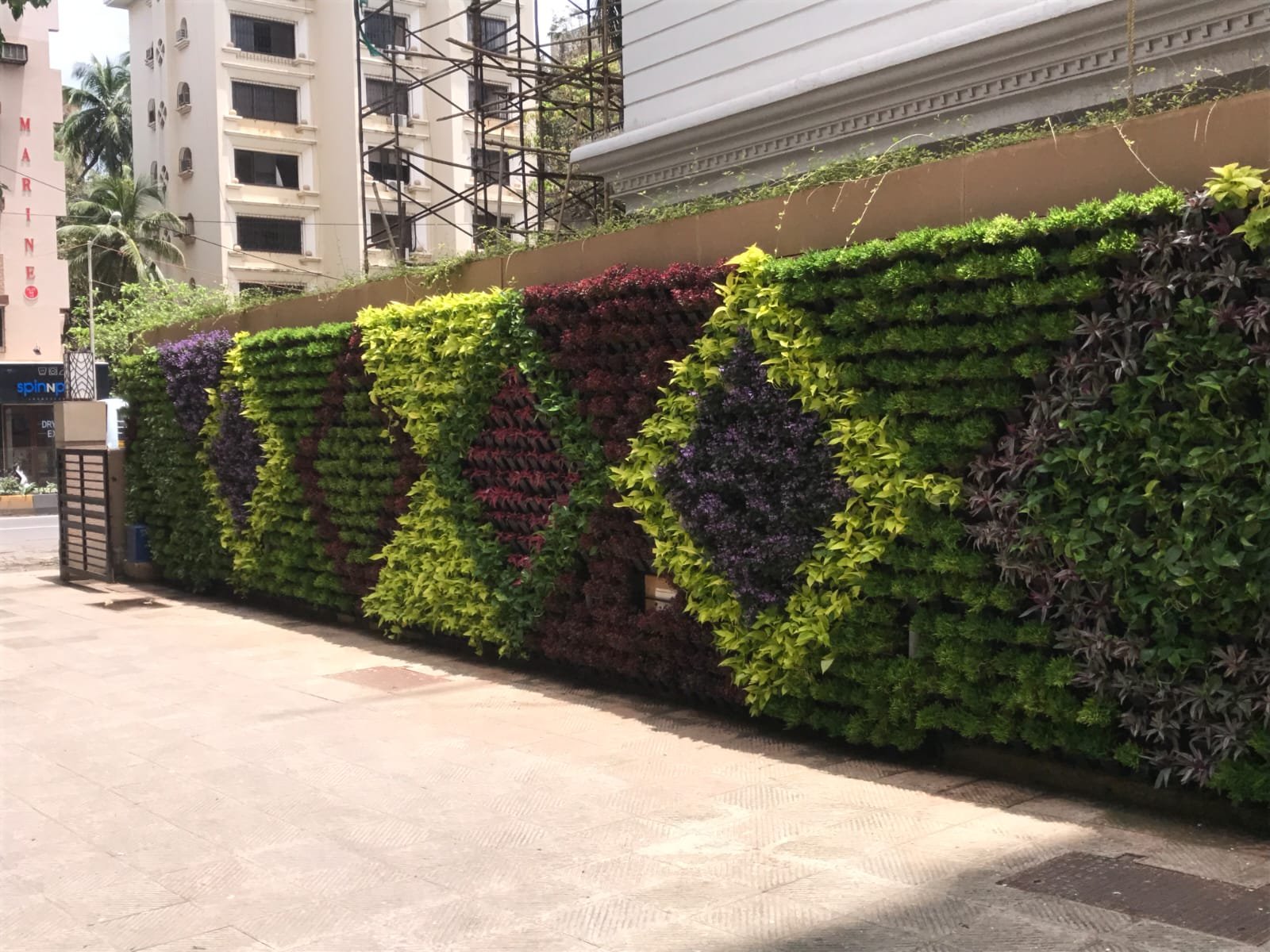 Vertical garden wall development in corporate office