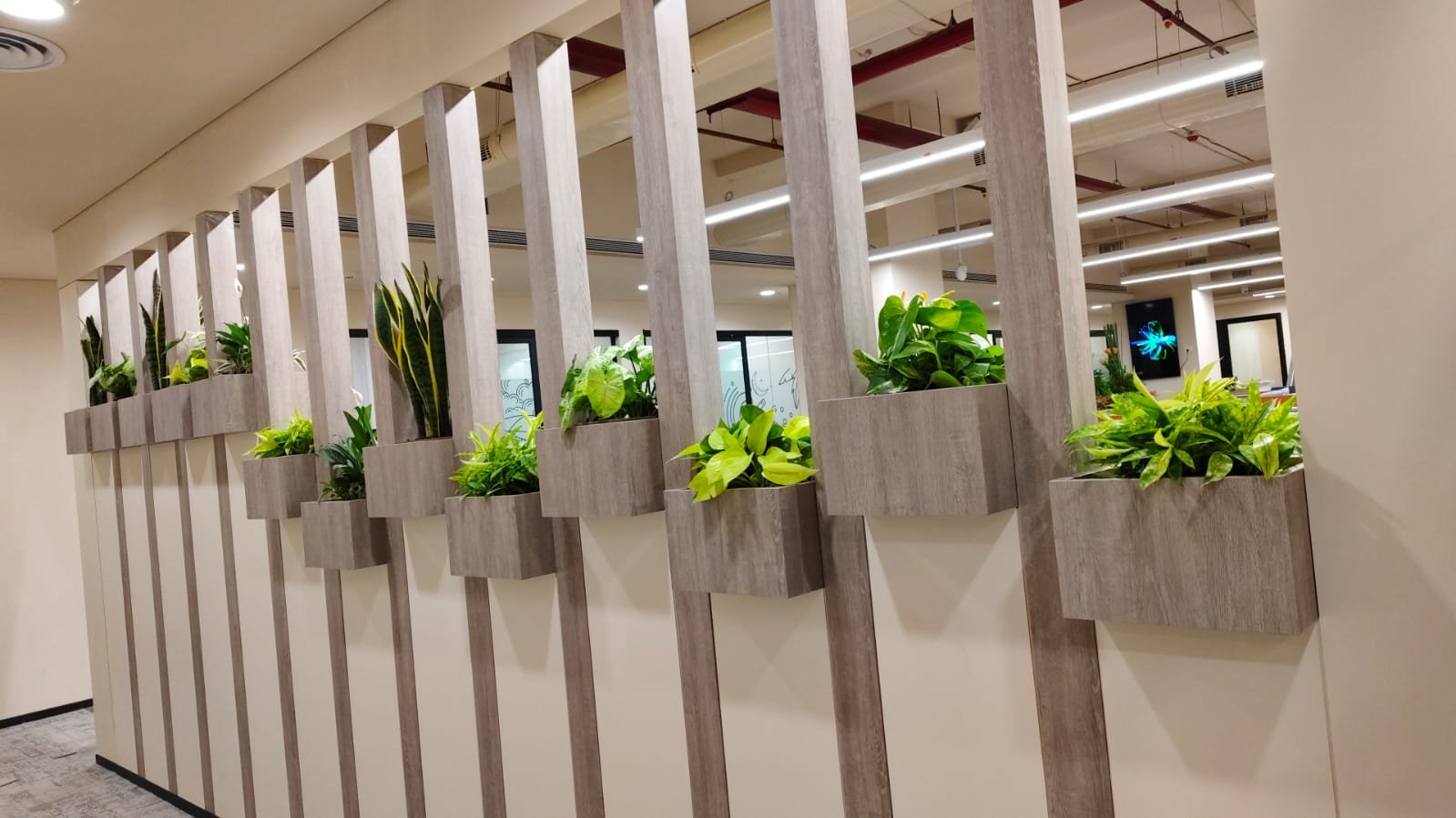 Corporate vertical garden project